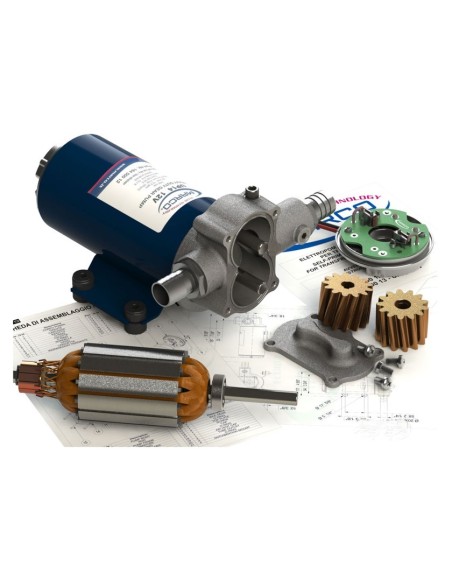 MARCO Pompa ingranaggi in bronzo UP6 12V