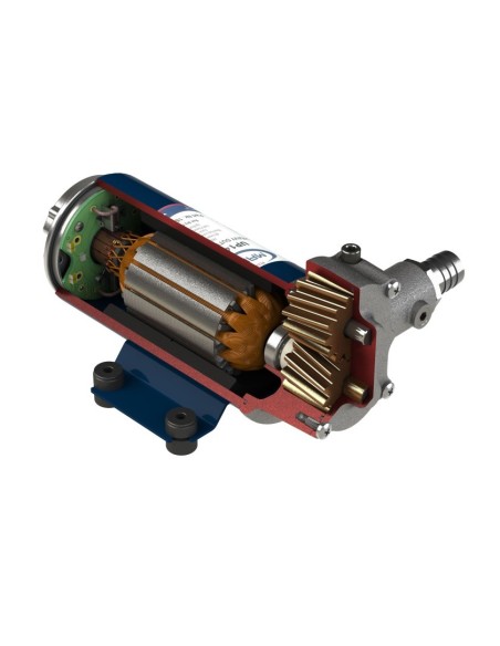 MARCO Pompa ingranaggi in bronzo UP6 12V